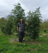 Support Mark Oprins